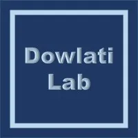 Dowlati Lab Dowlati Lab