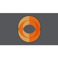 The Staffing Experts