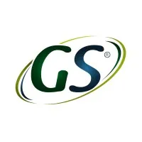 GS de México email format