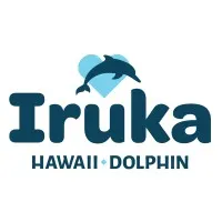 Iruka Hawaii Dolphin