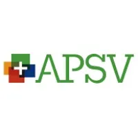 APSV comptables professionnels agréés inc.