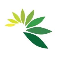 Cassava Bags Australia