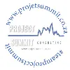 Project Summit Consulting - Team Building Project Summit Consulting - Team Building