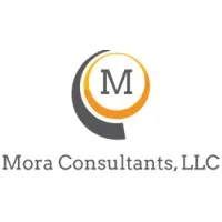 Mora Consultants dba Mora Technology Solutions