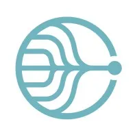 Simulation Dynamics