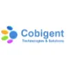 Cobigent Technologies and Solutions Pvt. Ltd. Cobigent Technologies and Solutions Pvt. Ltd.