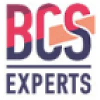 BCS Experts