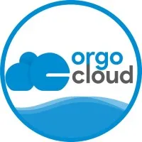 Orgocloud Enterprises Private Limited - Digital Marketing Agency That Drives Results