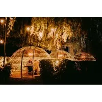 The Willow Tree