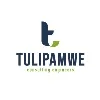 Tulipamwe Consulting Engineers Tulipamwe Consulting Engineers