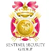 Sentinel Security Group