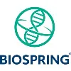 BioSpring GmbH