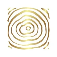 Xylogenesis® | Family Office Advisory