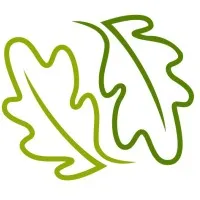 Oakeson Steiner Wealth & Retirement