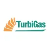 Turbigas S.A. Turbigas S.A.