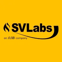 SVLabs - The Systems Validation Company