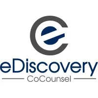 eDiscovery CoCounsel, pllc