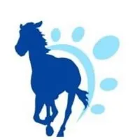 Bodywork 4 Horses