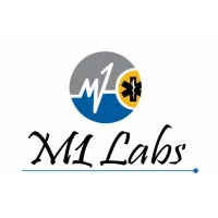 M1 Labs LLC