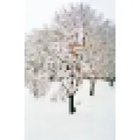 TREe Enterprises LLC TREe Enterprises LLC