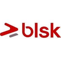 Blankskript Consultants