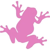 Pink Frog Interactive Pink Frog Interactive