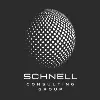 Schnell Consulting Group Schnell Consulting Group