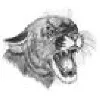 Campbellsport High School Campbellsport High School