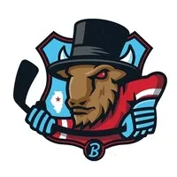Bloomington Bison Hockey Club