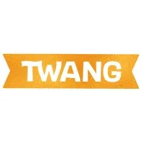 Twang Partners LLC