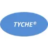 TYCHE INTERNATIONAL GROUP INC. TYCHE INTERNATIONAL GROUP INC.