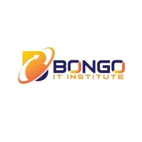 Bongo IT Institute