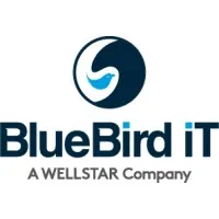 BlueBird iT Solutions - A WELLSTAR Company
