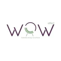 Wow Effect Furniture