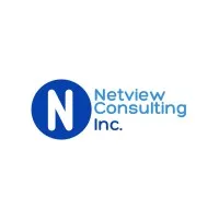Netview Consulting Inc