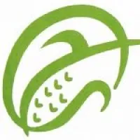 Surya Grain Indonesia Surya Grain Indonesia