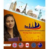 Astin Overseas Consultants