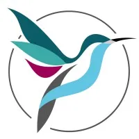 VIDA WHOLENESS FAMILY THERAPY VIDA WHOLENESS FAMILY THERAPY