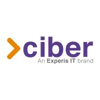Ciber Spain verified emails