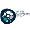 North Consulting Group North Consulting Group