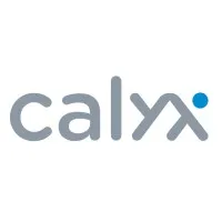 Calyx | Software development company