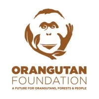 Orangutan Foundation