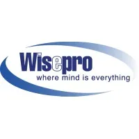 Wisetek Providers, Inc.