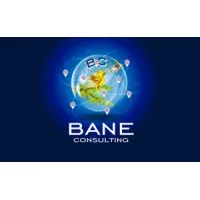 Bane Consulting Bane Consulting