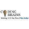 CodingBrains Software Solutions Pvt. Ltd CodingBrains Software Solutions Pvt. Ltd