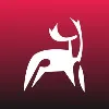DELAN - IT Talent Solutions