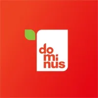 Dominus S.A.C email format