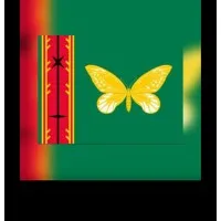 UPNG Oro Students Association 