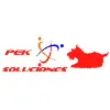 PEK SOLUCIONES PEK SOLUCIONES