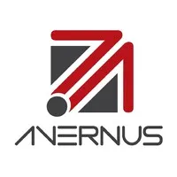 AVERNUS MANAGEMENT CONSULTING LLC
